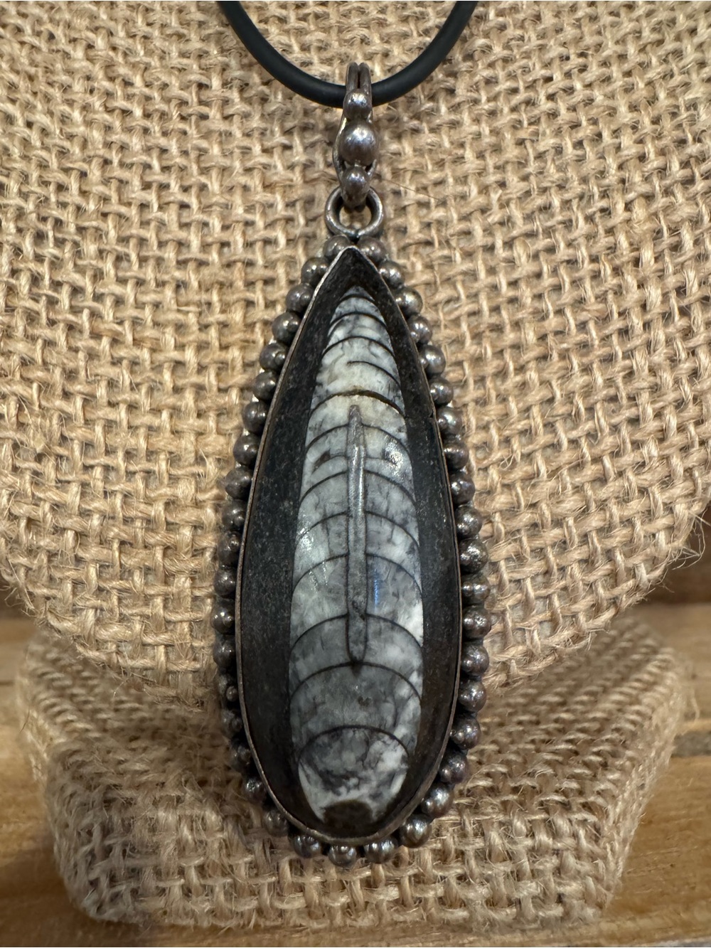 Vintage Orthoceras Teardrop Pendant Necklace - Black, Gray, Cream